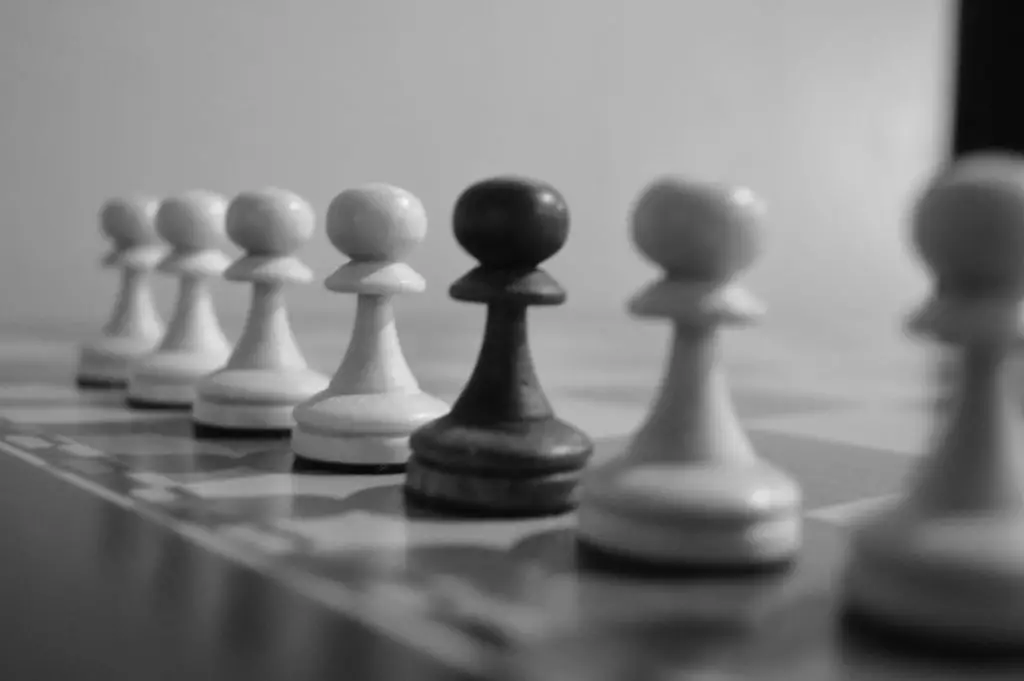 What Can a Pawn do in Chess