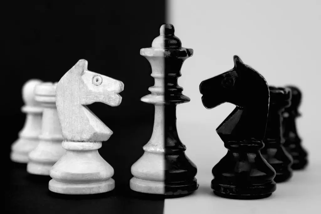 What is the Horse in Chess Called?