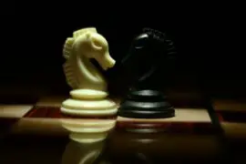 What is the Horse in Chess Called