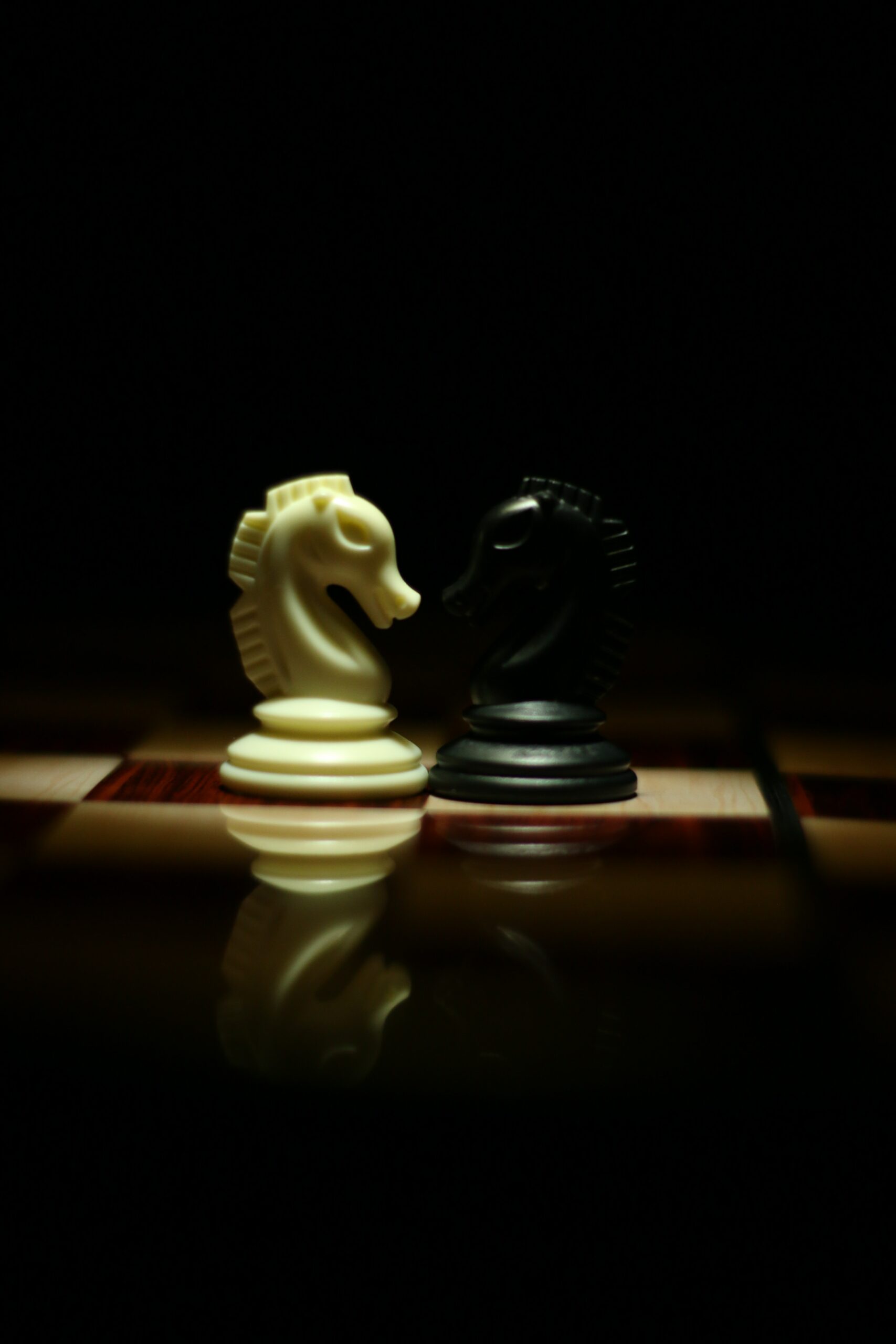 What is the Horse in Chess Called