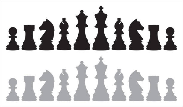 chess savant meaning